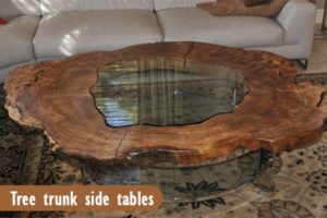 Tree Trunk Side Tables  