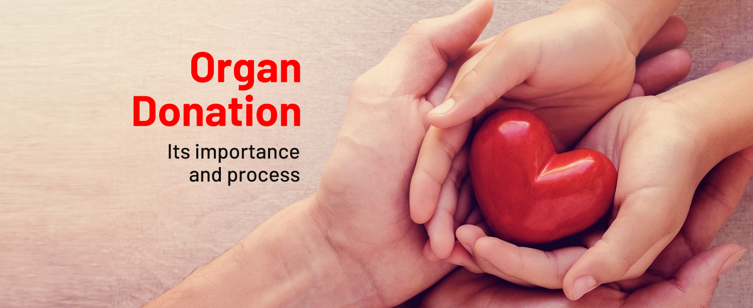 https://marketbusinessupdates.com/what-is-the-importance-of-organ-donation/