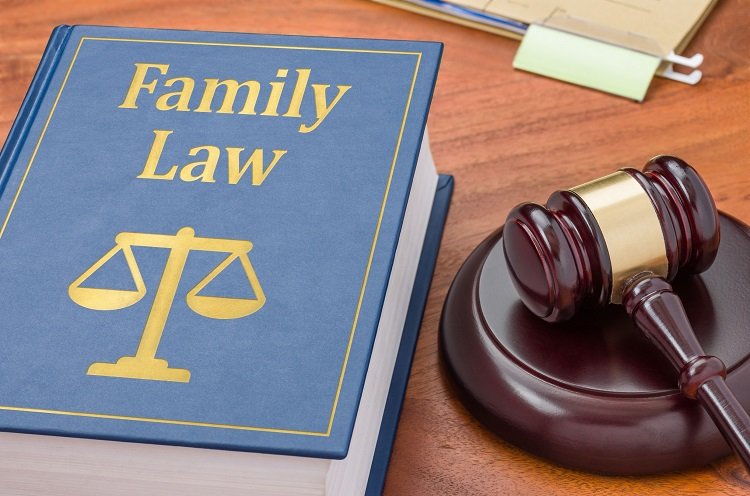 Family Lawyer 1