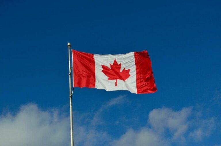 How To Get Canada Visa Cbsa Declaration From Belgium:
