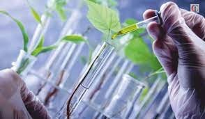 The Impact of Biotechnology in Agriculture