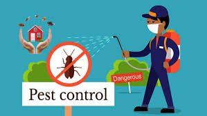 Pest control price in dubai