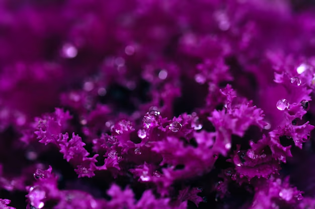 How Purple Sea Moss Benefits The Skin?